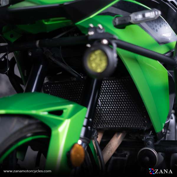 Kawasaki Versys 650 Radiator Guard(Grill) - Zana