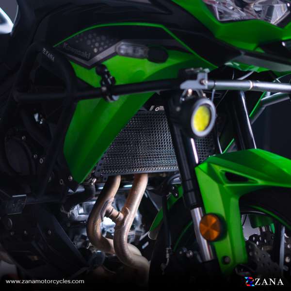 Kawasaki Versys 650 Radiator Guard(Grill) - Zana