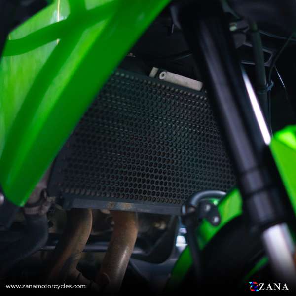 Kawasaki Versys 650 Radiator Guard(Grill) - Zana